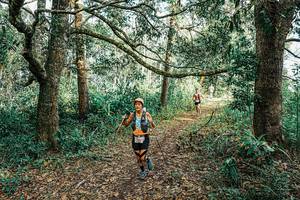 BIB: 
                            <button type="button" onclick="openModal(25666635)" class="btn btn-primary btn-sm float-right btn-popup" data-toggle="modal" data-target=".modal-high-quality">
                        <i class="fas fa-shopping-cart"></i> Add to Cart
                    </button>
                                            <button type="button" onclick="isThisMe(25666635, true)" class="btn btn-success btn-sm float-right btn-popup btn-isme hidden" data-toggle="tooltip" data-placement="bottom" title="นี่คือรูปของคุณใช่ไหม คลิกที่นี่เพื่อเอาเข้าอัลบั้ม">
                        <i class="fas fa-plus"></i> Add to album
                    </button>
                    <button type="button" onclick="isThisMe(25666635, false)" class="btn btn-warning btn-sm float-right btn-popup btn-isnotme hidden">
                        <i class="fas fa-ban"></i> Remove from album
                    </button>